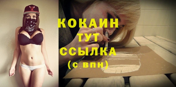 прущие крисы Белокуриха