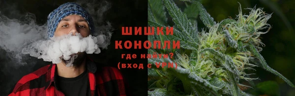 прущие крисы Белокуриха