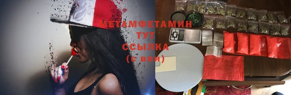 прущие крисы Белокуриха