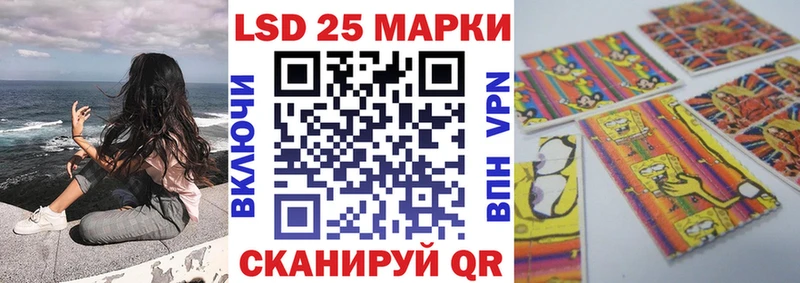 Наркотические марки 1,8мг  даркнет сайт  Курлово 