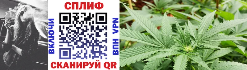 Бошки Шишки планчик  что такое наркотик  Курлово 